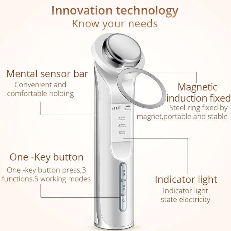 KD9960 Ion Beauty Introduction Instrument Face Cleansing Massager Skin Rejuvenation Thermostat De...