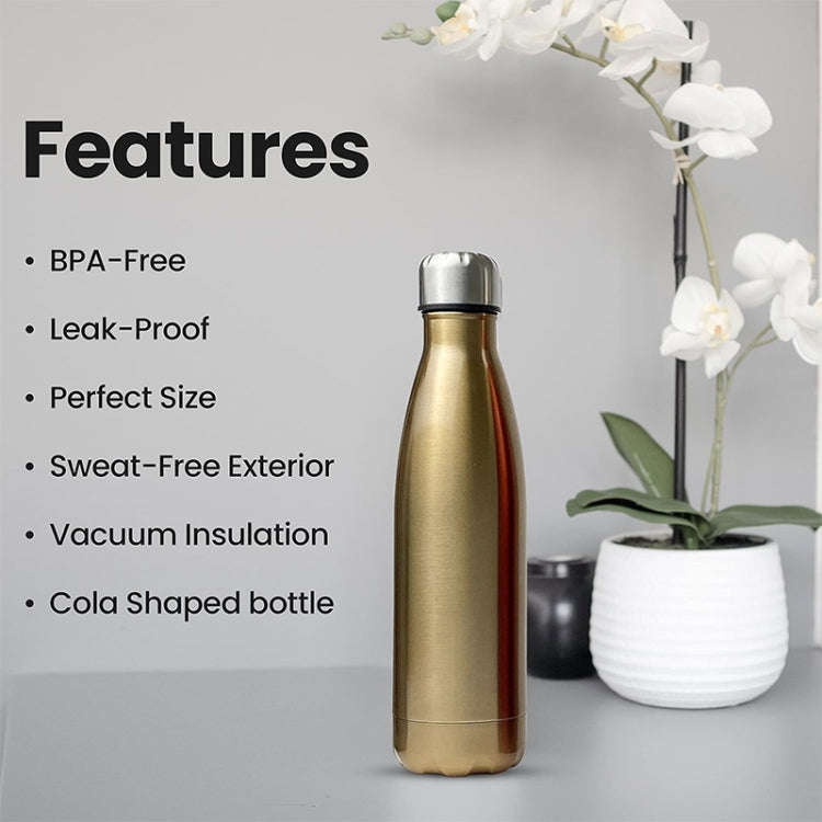JUNSUNMAY 304 Stainless Steel Double-layer Vacuum Insulated Water Bottle, Capacity:500ml(Steel Co...