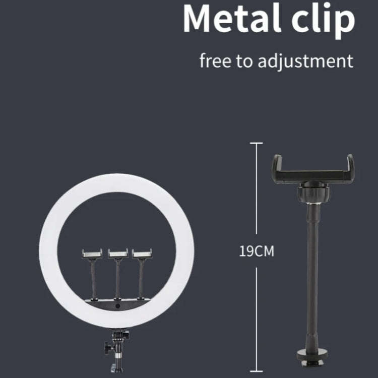 JMARY FM-21R With Remote Control Phone Clip 21-inch Dimmable LED Ring Light(EU Plug)