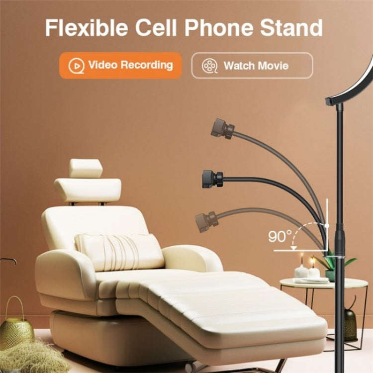 HD-G63X Floor Standing Remote Dimming LED Moon Lamp Manicure Eyelash Beauty Lamp(AU Plug)