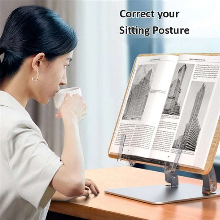 LS15 For 10-17 inch Devices Tablet Stand Aluminum+ABS Adjustable Desktop Holder with Clip