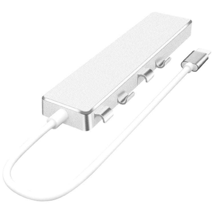 ADS-301C USB-C / Type-C to USB-C + USB 3.0 + 3 x USB 2.0 Expander HUB(Silver)