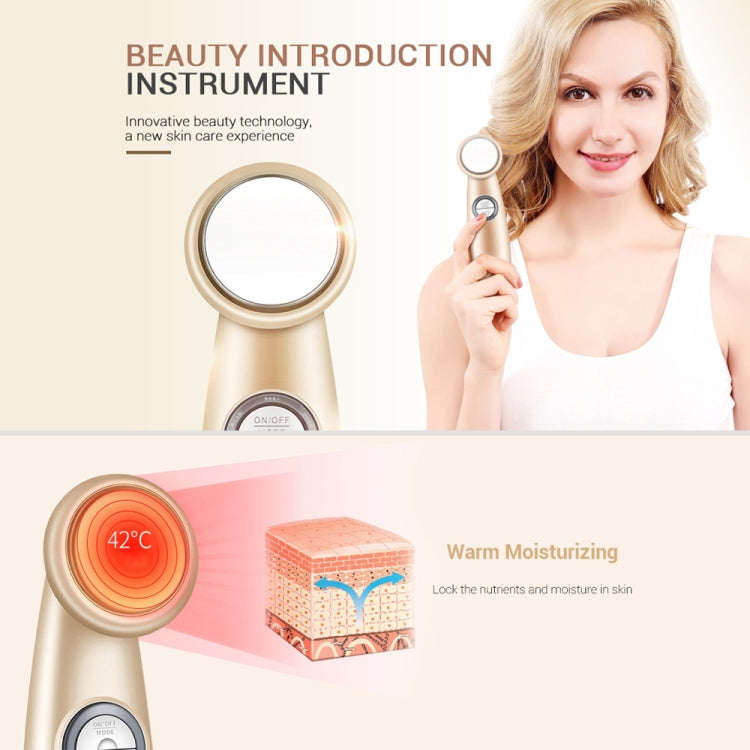 K-SKIN KD9930 Facial Thermostat Beauty Introduction Instrument Beauty Device Face Cleansing Massa...