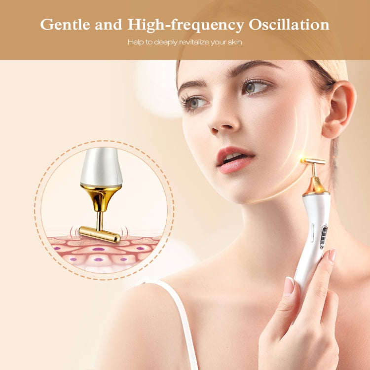 K-SKIN KD9060 Electric Facial Massager Skin Care Lifting Firming Portable Essence Absorption