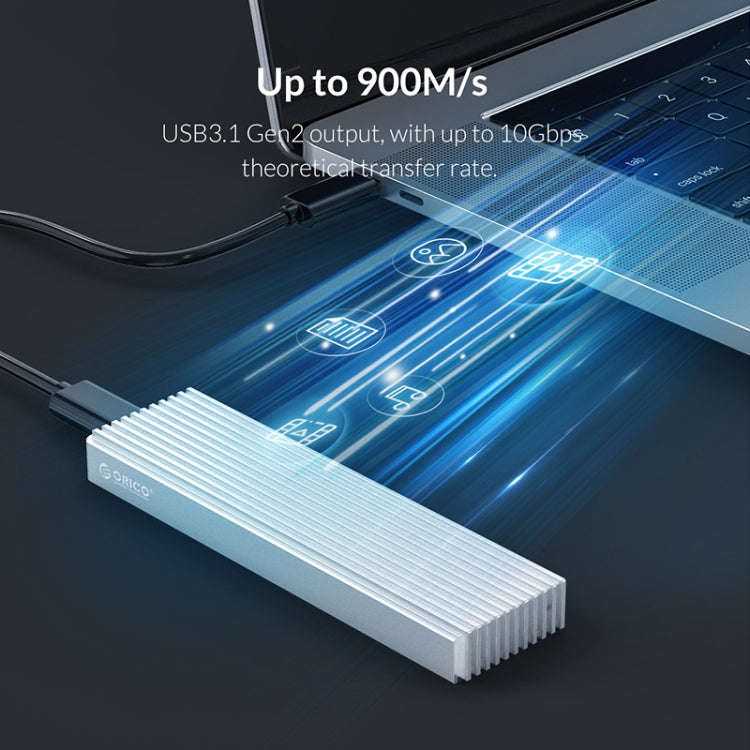 ORICO M2PJ NVME M.2 SSD Enclosure(Silver)