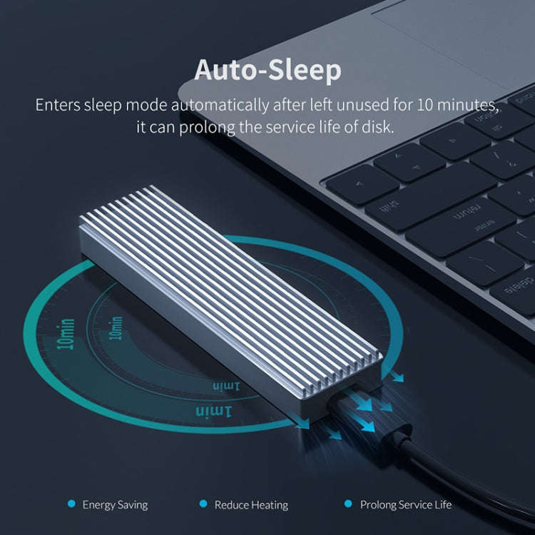 ORICO M2PJ NVME M.2 SSD Enclosure(Silver)