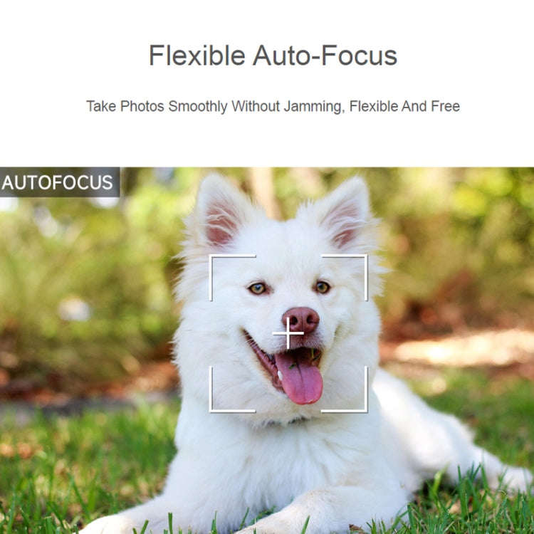 Waveshare For Raspberry Pi Camera Module 3, High Resolution, Auto-Focus 12MP, IMX708, 75° FOV, 2...