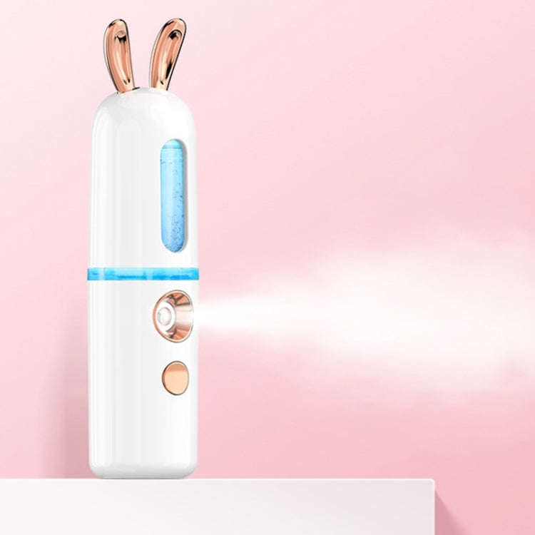 Facial Steamer Nano Spray Water Replenishing Instrument Portable Cold Spray Machine Charging Beau...