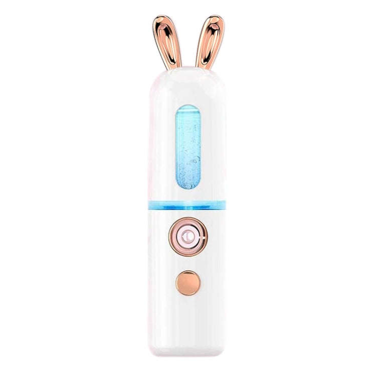 Facial Steamer Nano Spray Water Replenishing Instrument Portable Cold Spray Machine Charging Beau...