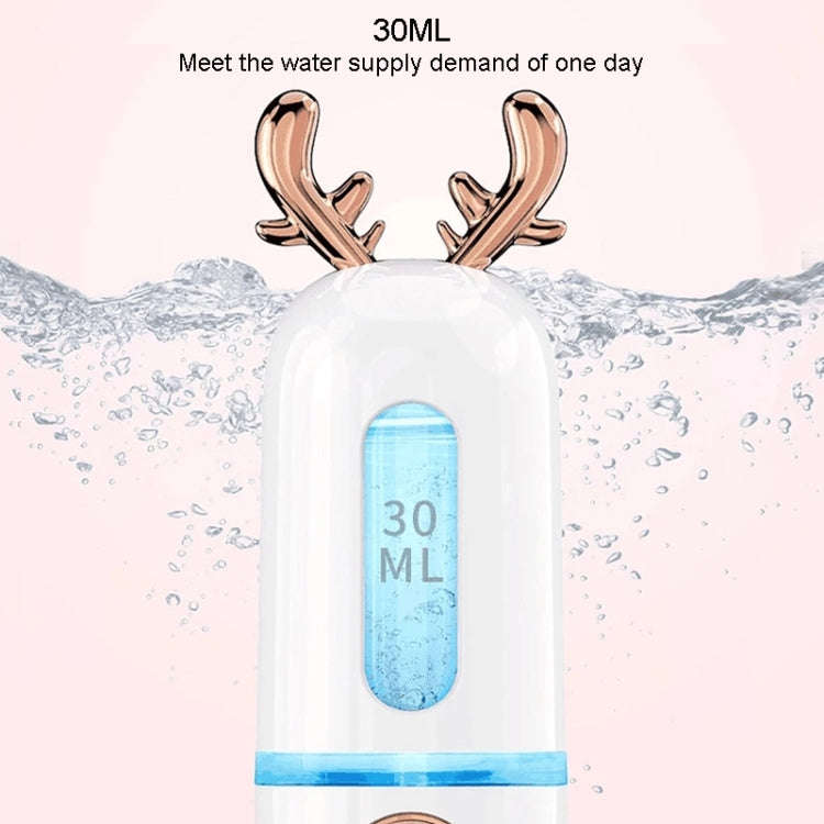 Facial Steamer Nano Spray Water Replenishing Instrument Portable Cold Spray Machine Charging Beau...