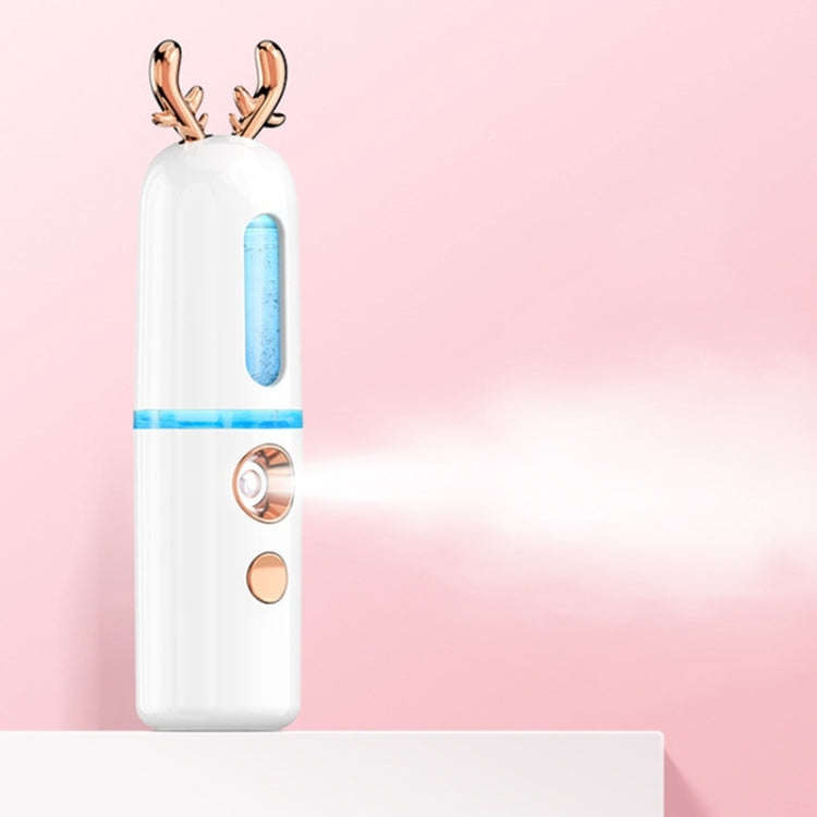 Facial Steamer Nano Spray Water Replenishing Instrument Portable Cold Spray Machine Charging Beau...