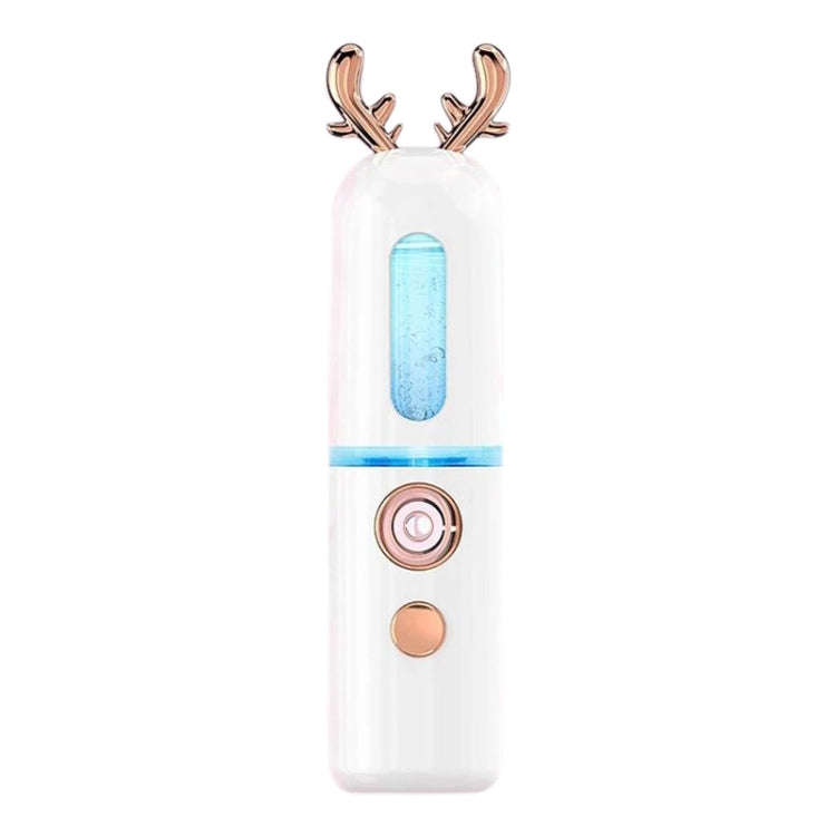 Facial Steamer Nano Spray Water Replenishing Instrument Portable Cold Spray Machine Charging Beau...