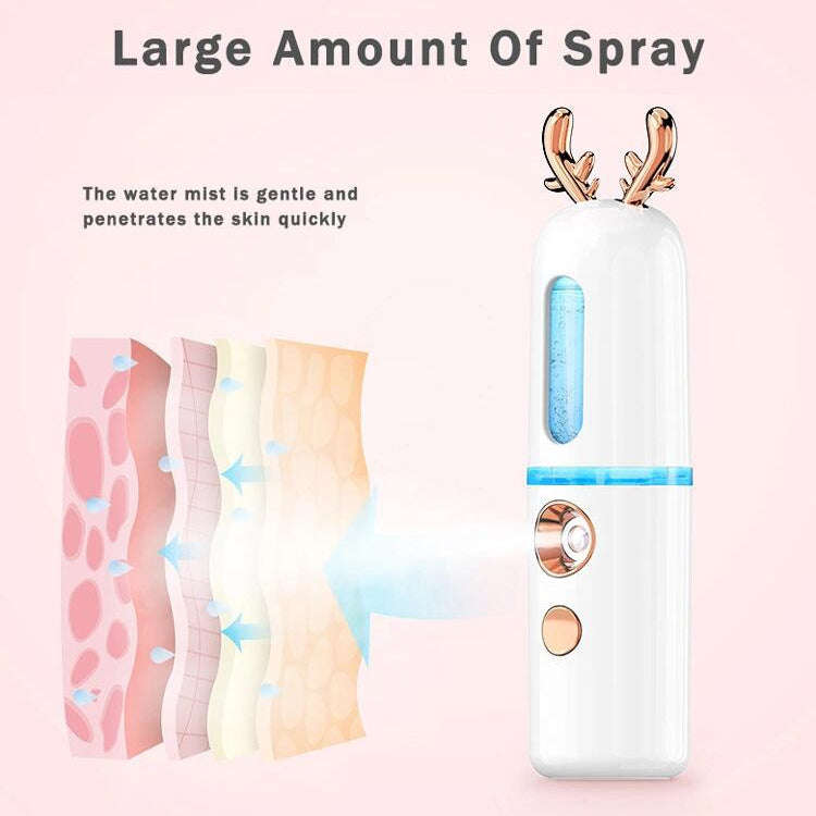 Facial Steamer Nano Spray Water Replenishing Instrument Portable Cold Spray Machine Charging Beau...