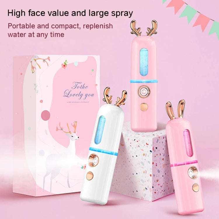 Facial Steamer Nano Spray Water Replenishing Instrument Portable Cold Spray Machine Charging Beau...