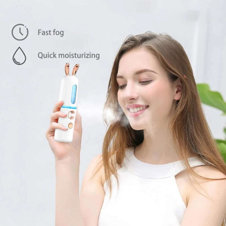 Facial Steamer Nano Spray Water Replenishing Instrument Portable Cold Spray Machine Charging Beau...