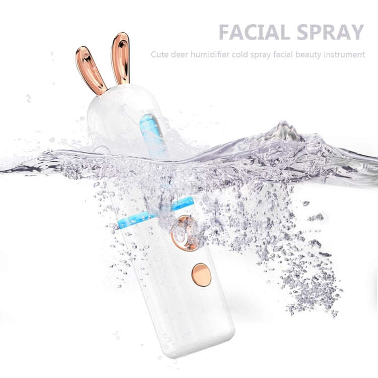 Facial Steamer Nano Spray Water Replenishing Instrument Portable Cold Spray Machine Charging Beau...