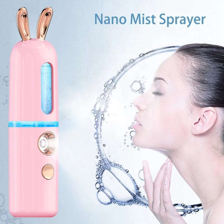 Facial Steamer Nano Spray Water Replenishing Instrument Portable Cold Spray Machine Charging Beau...