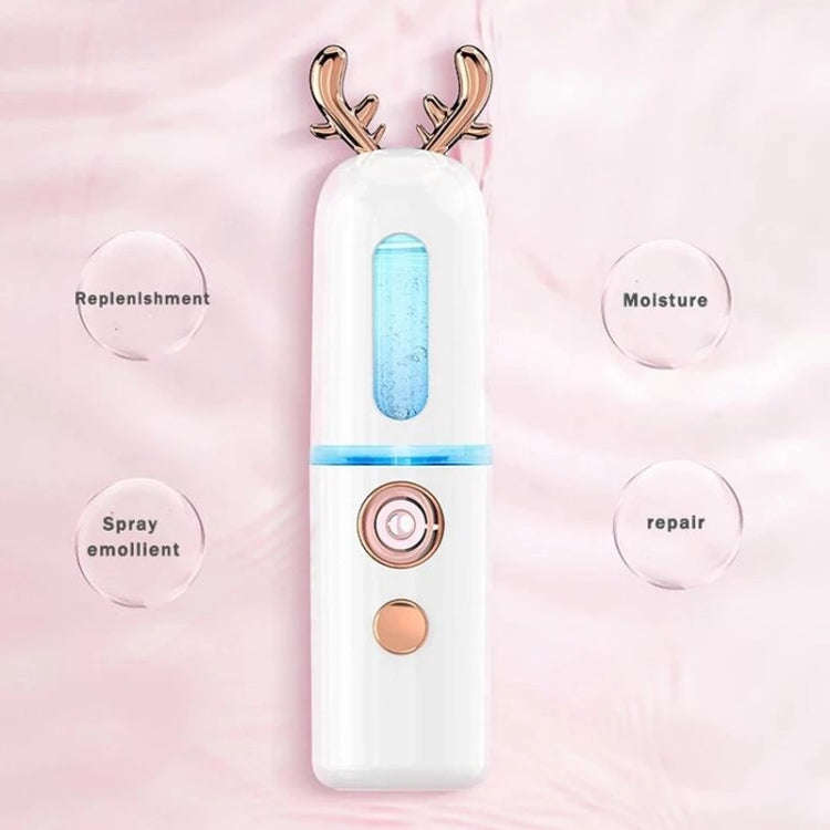 Facial Steamer Nano Spray Water Replenishing Instrument Portable Cold Spray Machine Charging Beau...