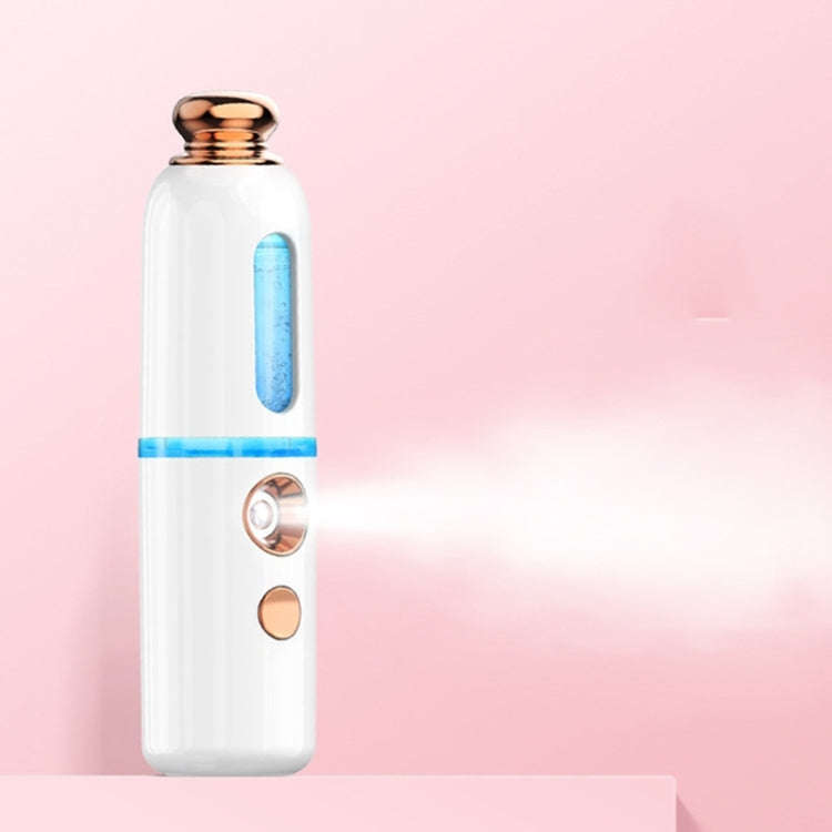 Facial Steamer Nano Spray Water Replenishing Instrument Portable Cold Spray Machine Charging Beau...