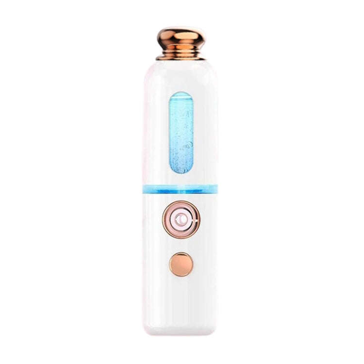 Facial Steamer Nano Spray Water Replenishing Instrument Portable Cold Spray Machine Charging Beau...