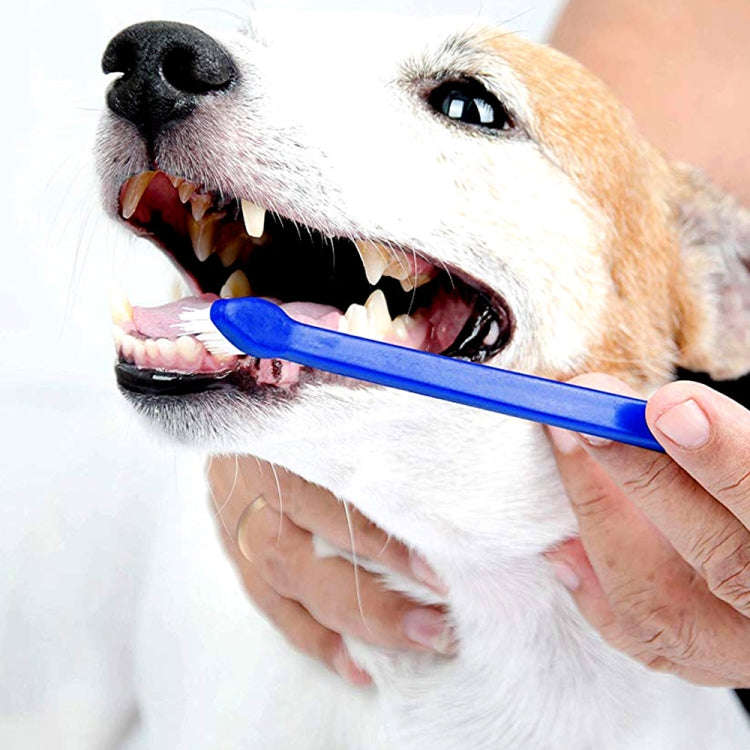 10pcs Dog Cat Effective Pets Oral Care Pet Toothbrush, Specification:Blue Handle + Medium Hair(Blue)