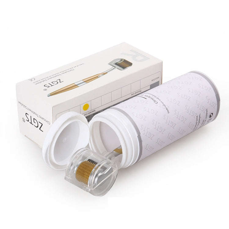 2 PCS ZGTS192 Titanium Alloy Microneedle Facial Repair Nano Roller Instrument, Specification:1.0MM