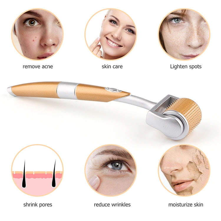2 PCS ZGTS192 Titanium Alloy Microneedle Facial Repair Nano Roller Instrument, Specification:1.0MM