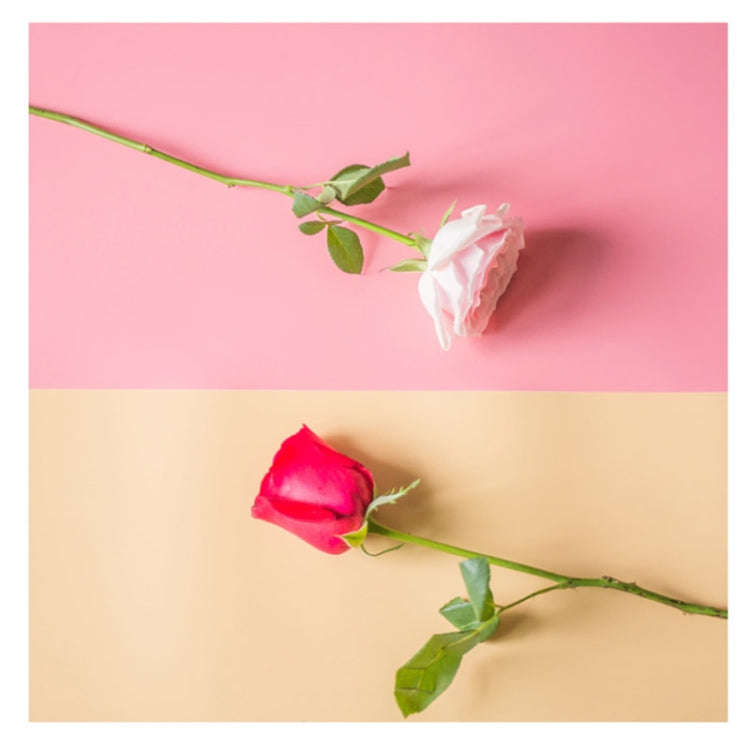 70x140cm Shooting Background Board PVC Matte Board Photography Background Cloth Solid Color Shoot...