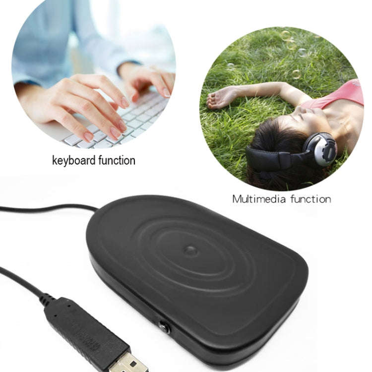 Pcsensor USB Foot Pedal Control Switch Keyboard Adapter For Computer, Model:FS2019
