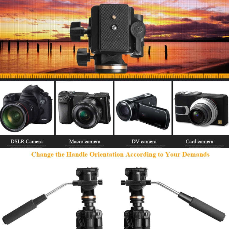 QingZhuangShiDai Q111S Aluminum Alloy Mobile Phone Camera Photography Tripod(Black)