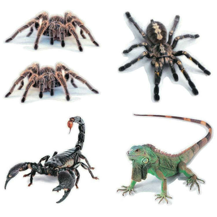 Creative Personality Scratch Cover  Car Body Sticker(Lizard)
