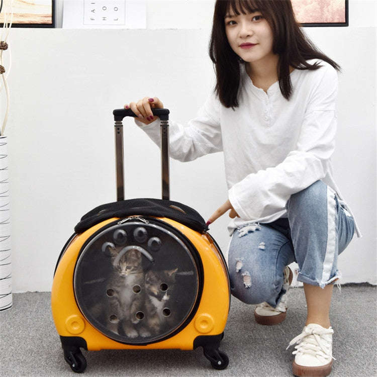 Pet Trolley Case Got Out Portable Pet Bag(Golden)