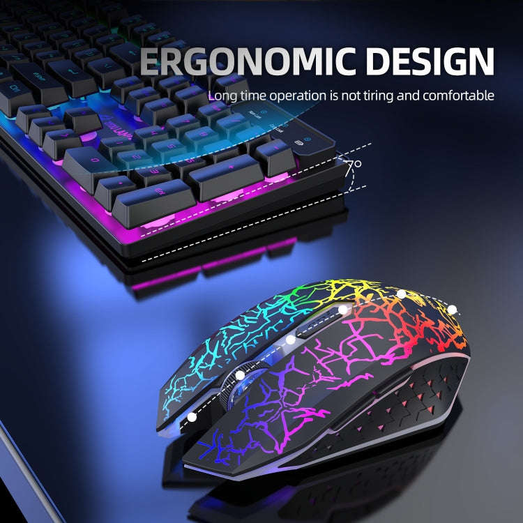 ZIYOULANG T3 Wireless Charging Gaming Lighted Keyboard and Mouse Set(Black Rainbow Light)