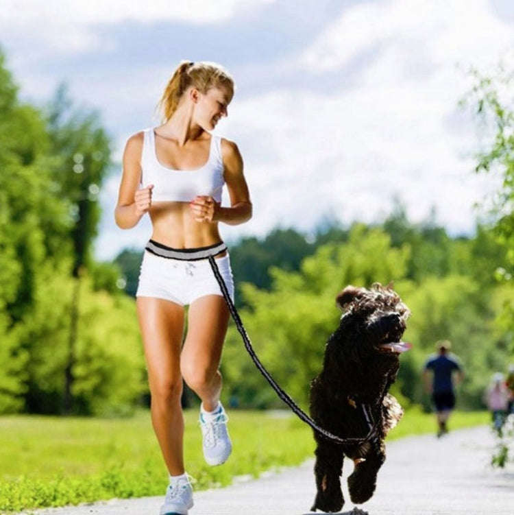 Dog Running Reflective Adjustable Belt Traction Rope with Small Bag, Specification:4-Piece Set(Gray)