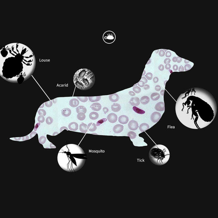 Pet Flea & Anti-Lice Collar Pet In Vitro Insect Repellent Ring, Size:Large Dog/70cm