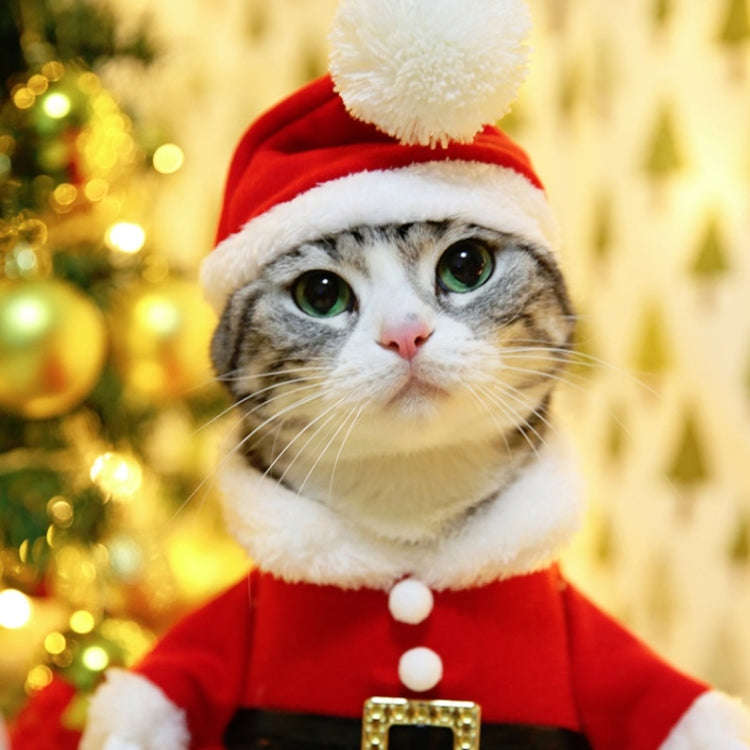 Pet Three-Dimensional Christmas Suit, Size: S