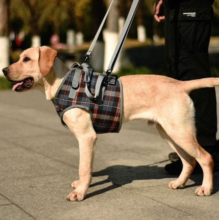 Pet Leg Straps Disabled & Injured Elderly Dog Auxiliary Belt, Size: M, Style:Front Leg(Blue)
