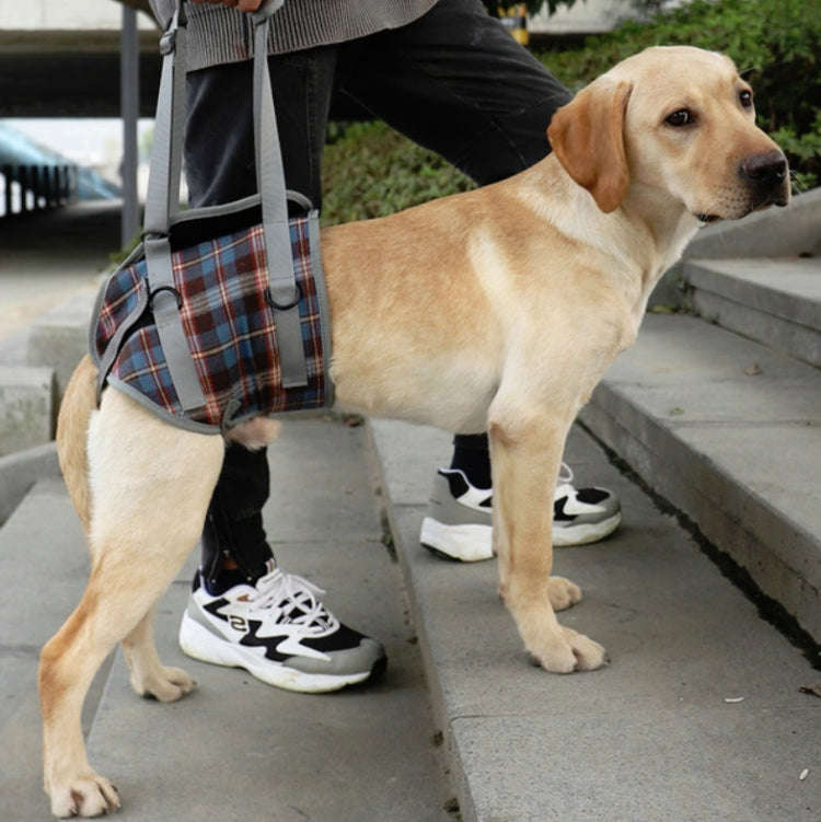 Pet Leg Straps Disabled & Injured Elderly Dog Auxiliary Belt, Size: M, Style:Hind Leg(Blue)