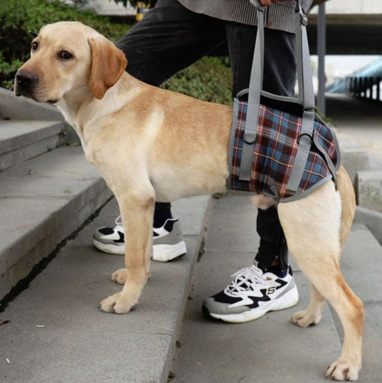 Pet Leg Straps Disabled & Injured Elderly Dog Auxiliary Belt, Size: L, Style:Hind Leg(Blue)