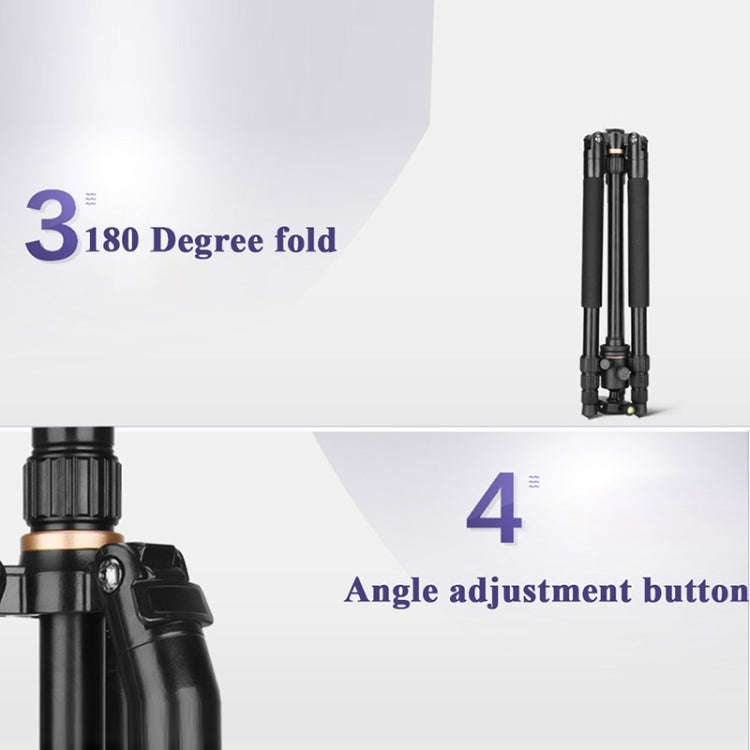 Q222 Portable 4-Section Folding Legs Aluminum Alloy Tripod Mount Monopod Holder with Ball Heads