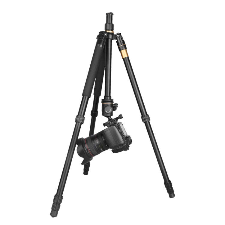 Q222 Portable 4-Section Folding Legs Aluminum Alloy Tripod Mount Monopod Holder with Ball Heads