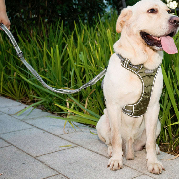 Dog Outdoor Anti-Scourge Traction Rope Nylon Reflective Elastic Stretch Dog Walking Rope(Yellow)