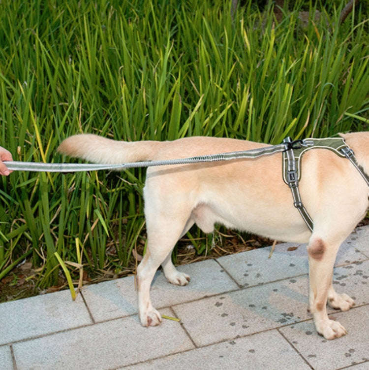 Dog Outdoor Anti-Scourge Traction Rope Nylon Reflective Elastic Stretch Dog Walking Rope(Yellow)