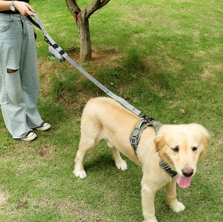Dog Outdoor Anti-Scourge Traction Rope Nylon Reflective Elastic Stretch Dog Walking Rope(Yellow)