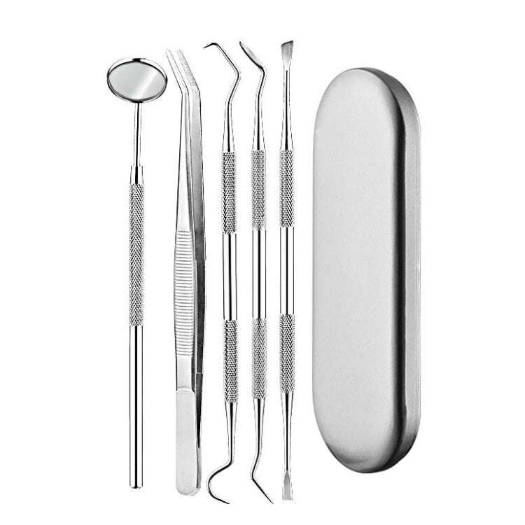 5 in 1 Silver Box Stainless Steel Dental Tools Dental Care Tartar Tool Dentist Tool Set