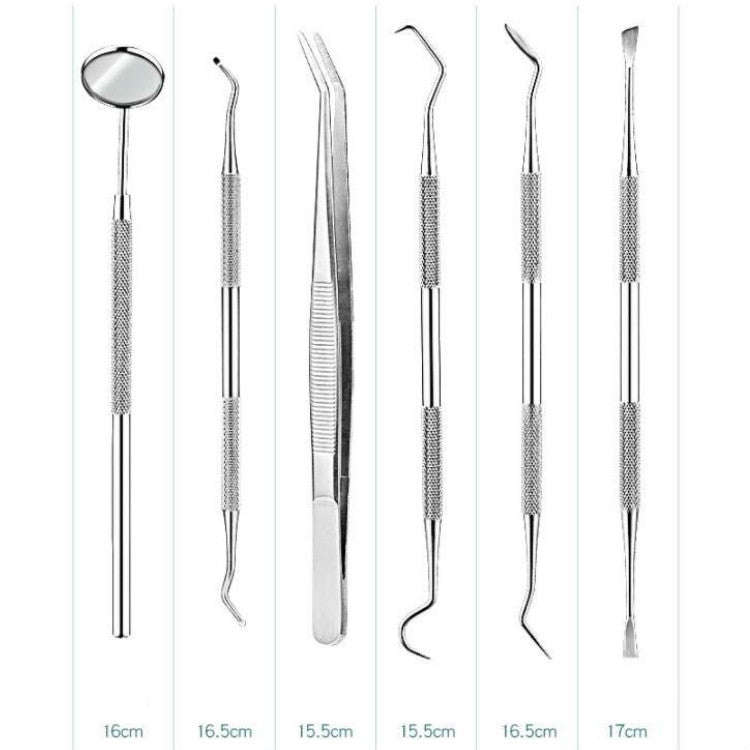 6 in 1 Pink Box Stainless Steel Dental Tools Dental Care Tartar Tool Dentist Tool Set