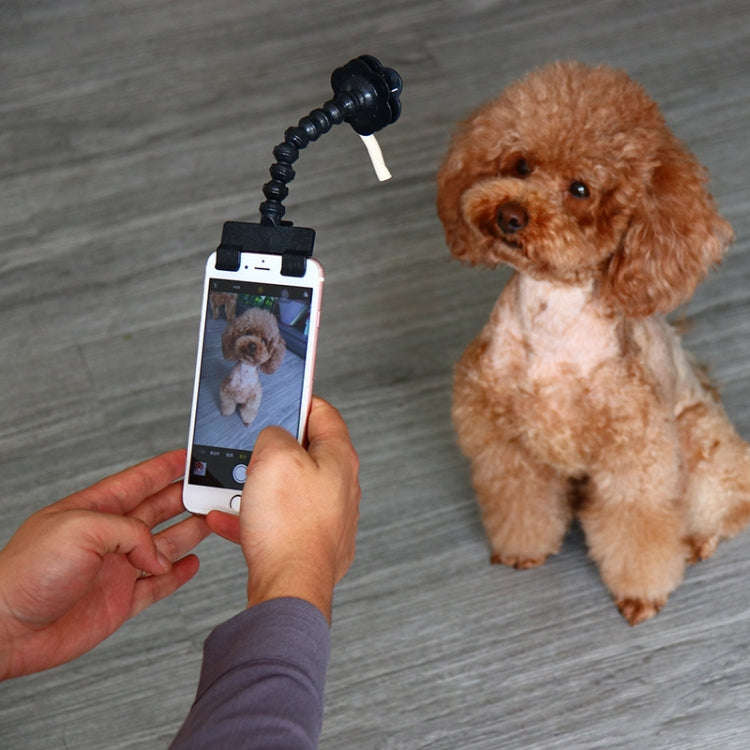 Pet Camera Artifact Dog Cat Looking At Camera Phone Clip(White)