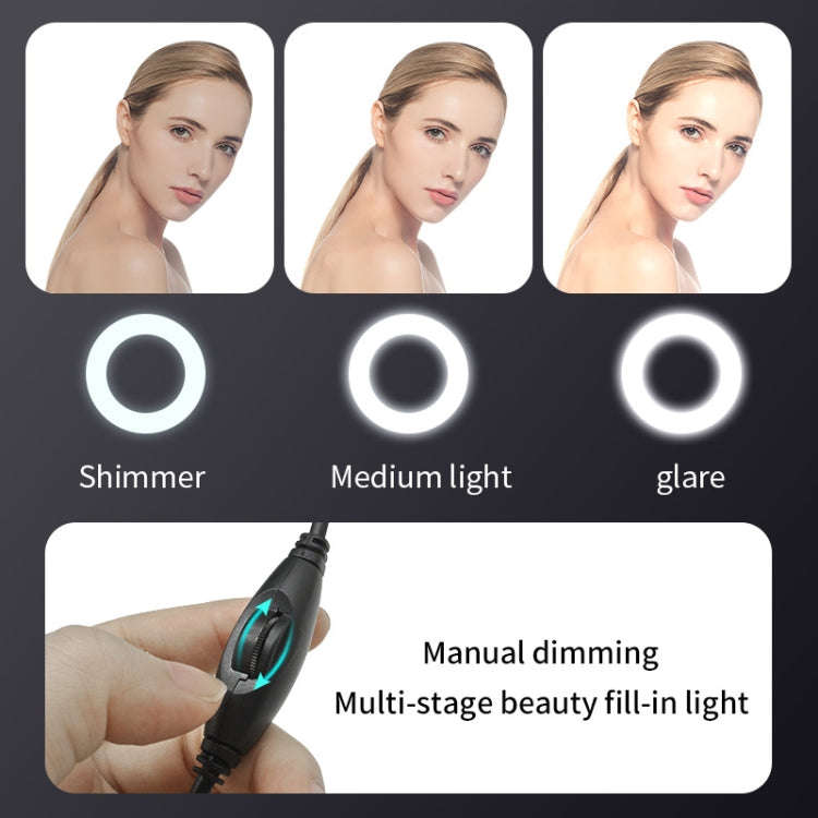 A9mini USB Drive-Free HD Fill Light Camera with Microphone, Pixel:2.0 Million Pixels 1080P