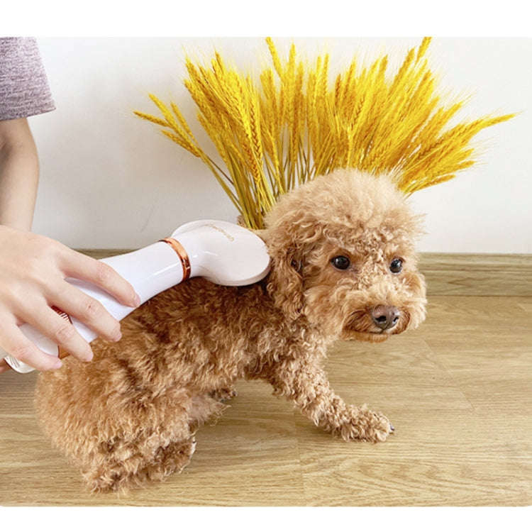 Pet Hair Dryer Cat & Dog Cleaning Electric Comb, Specification:US Plug(Green)