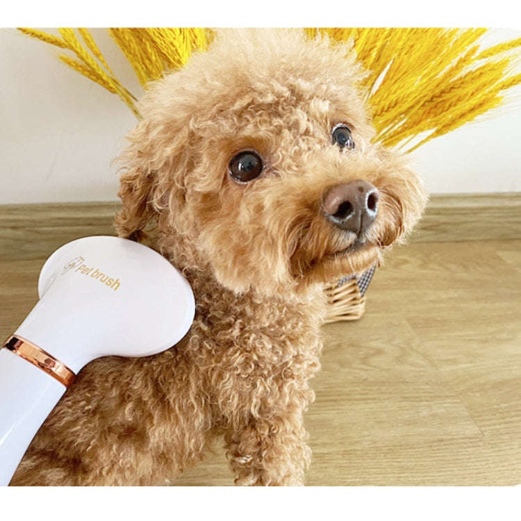 Pet Hair Dryer Cat & Dog Cleaning Electric Comb, Specification:US Plug(Green)